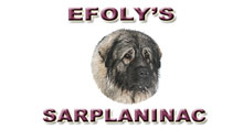 EFOLY'S SARPLANINAC
